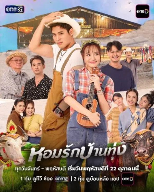 Poster phim Hương Tình Miền Quê trên PhimMoi